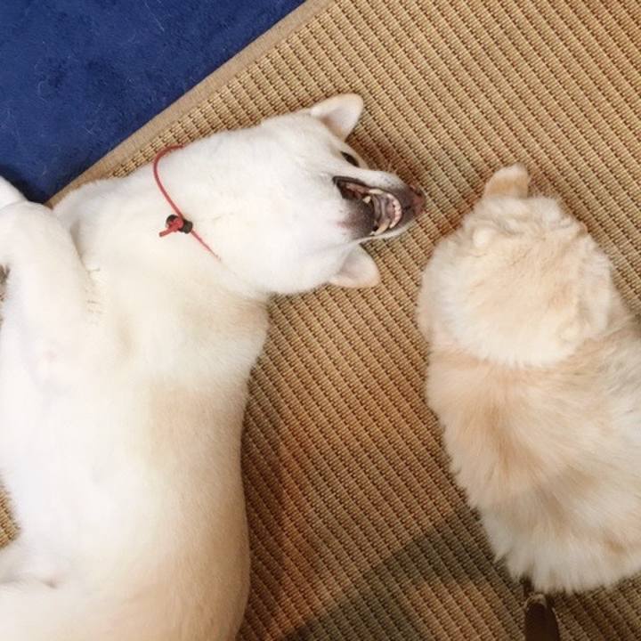 D7adc92c fd2b 4390 93a8 3345ced12a5b