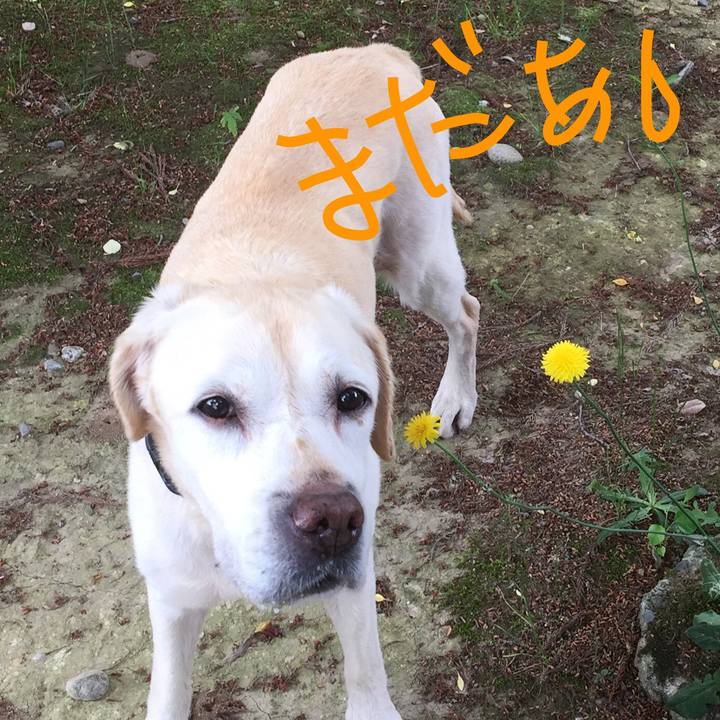 D7ae3d12 2800 48fb 939c c27035e380a0