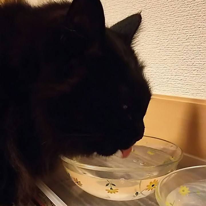 D7ae5e41 fcc4 4640 aee6 7702fd41eaf2