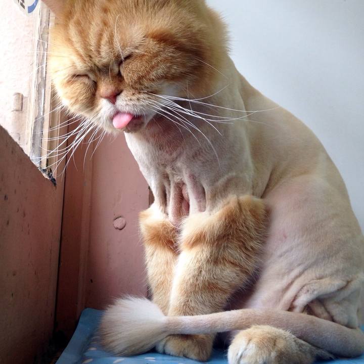 D7aee211 392f 4583 a52e 0534353f92af