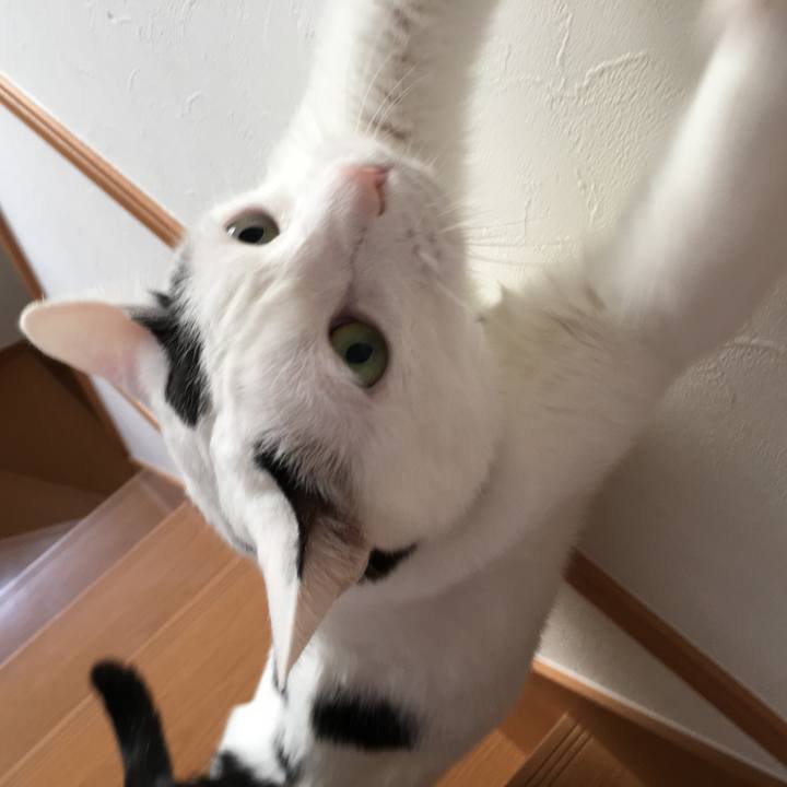 D7aeeccb a407 4faf 9b40 08c043c1df37