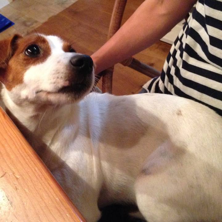 D7af84c9 87fc 44bf ba50 d174972e7460