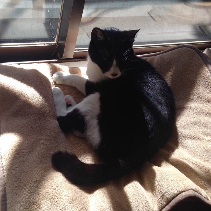 D7b01b00 b9b3 40e5 b423 f71d1ab4ae0b