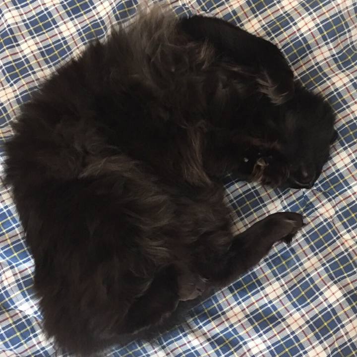 D7b028cf 1c9c 48b7 854c f5769a2a89bd