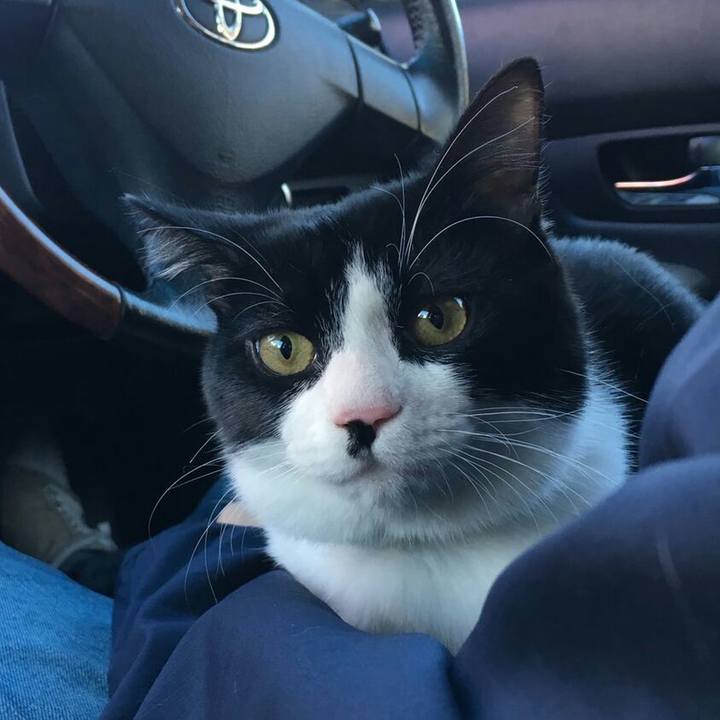 D7b0c774 8e37 453a 9a4f 0f91c27f5f2c