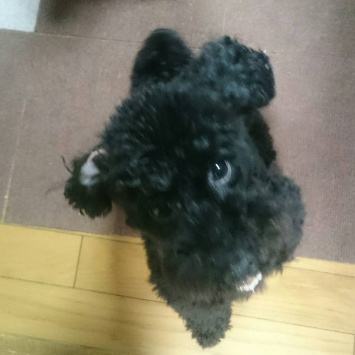 D7b0cb6f 3982 4a04 86d5 48f01fce1d57