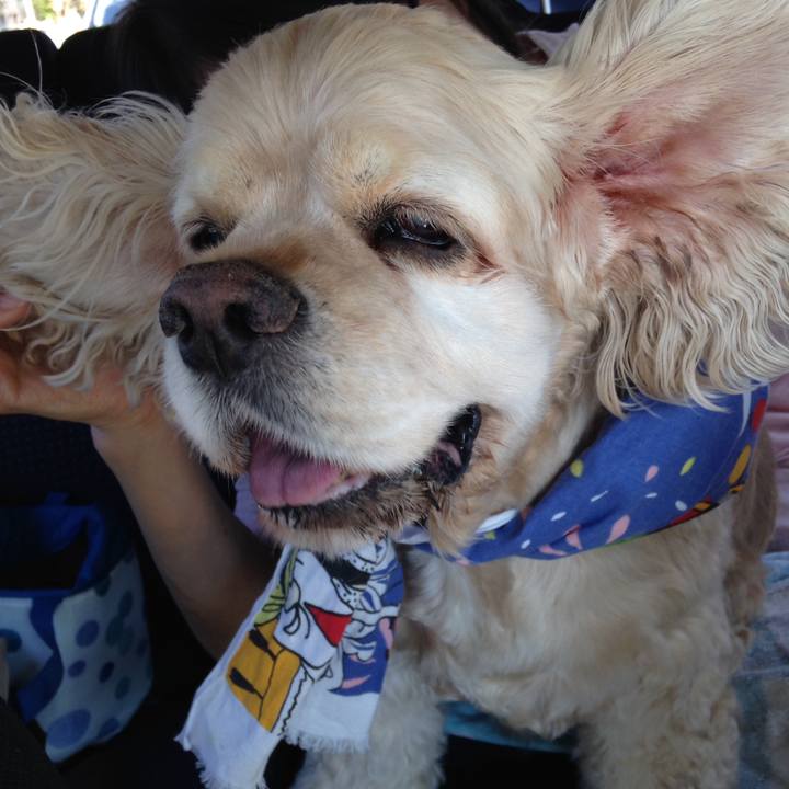 D7b16b95 a398 4c34 8448 c677148f4f3c