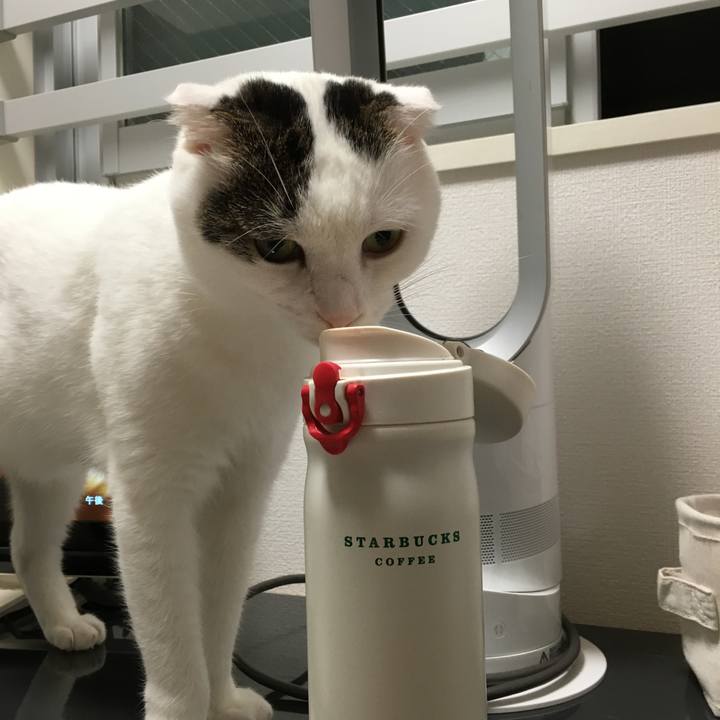 D7b18b62 2248 4e4d 97bf 45ac57c3c283