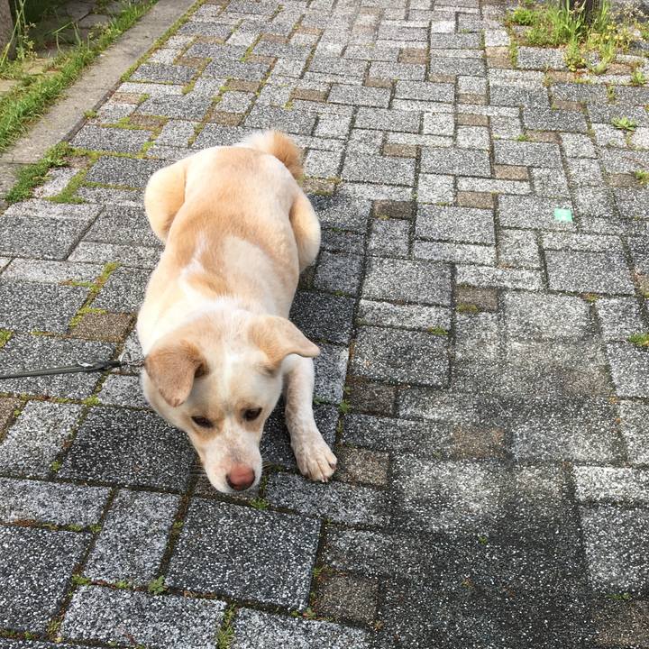 D7b1a95f 56d2 4daa a2f9 776bf8eff761