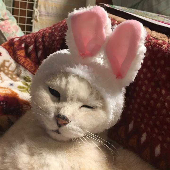 D7b20765 b6dd 4b69 afc6 17ad14b3d8bf