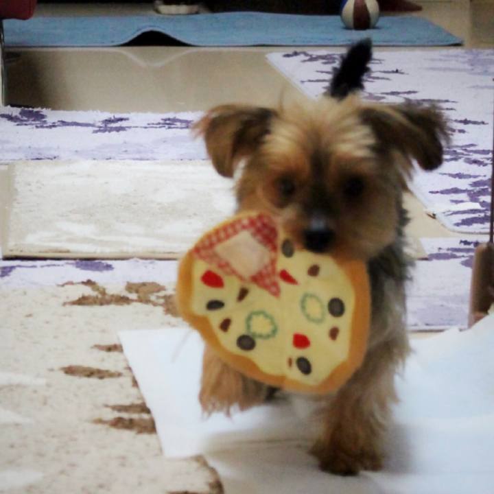 D7b2940e a5ba 4b83 b371 a7d0870f4a16