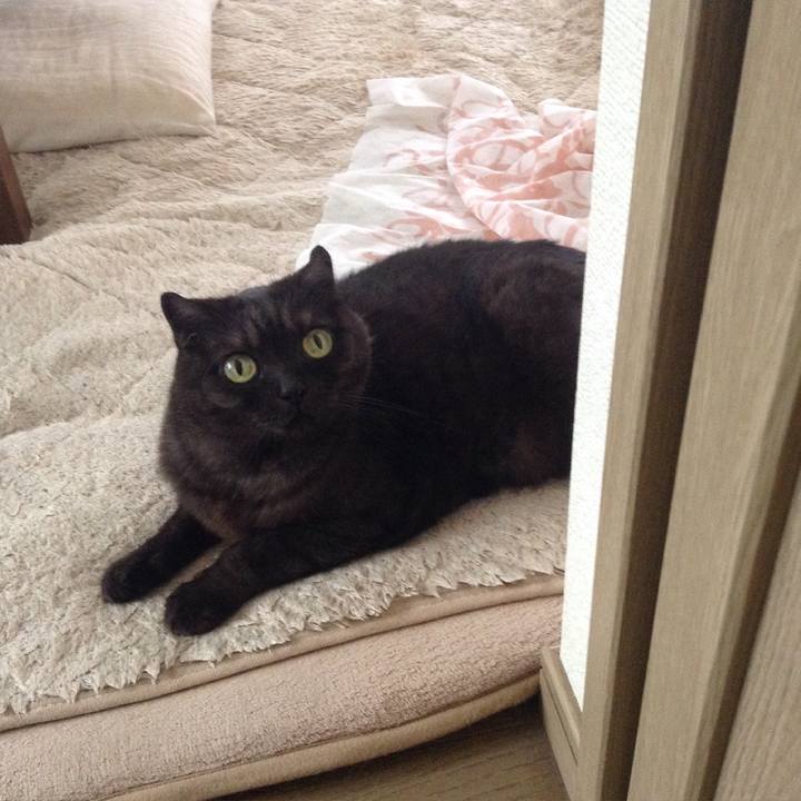 D7b2cfe7 8d92 42dd ab7f 37643cf37a10