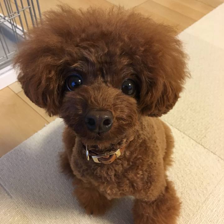 D7b30426 7512 4498 a32e fdc0cdd7b847