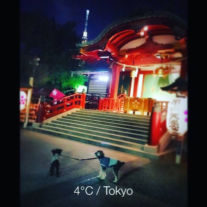 D7b3563d 8a4c 4a6b 9e07 1ac9846bef85