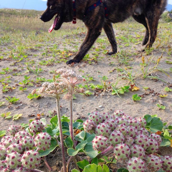 D7b35c42 fdd0 4de9 8516 ca08dede0914