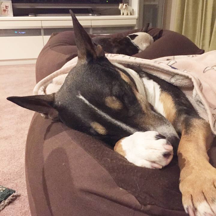 D7b3f2a6 4378 4c52 9270 185f65b6d781