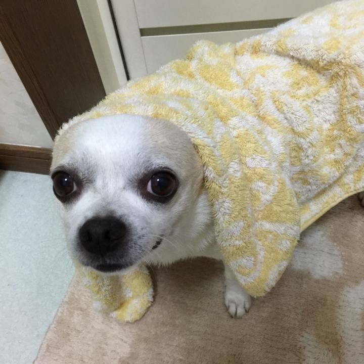 D7b3fd9a c494 48cf b591 4d87bed4fabe