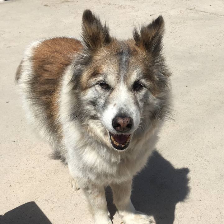 D7b49974 47bc 4f7a 8223 bfa471e953f0