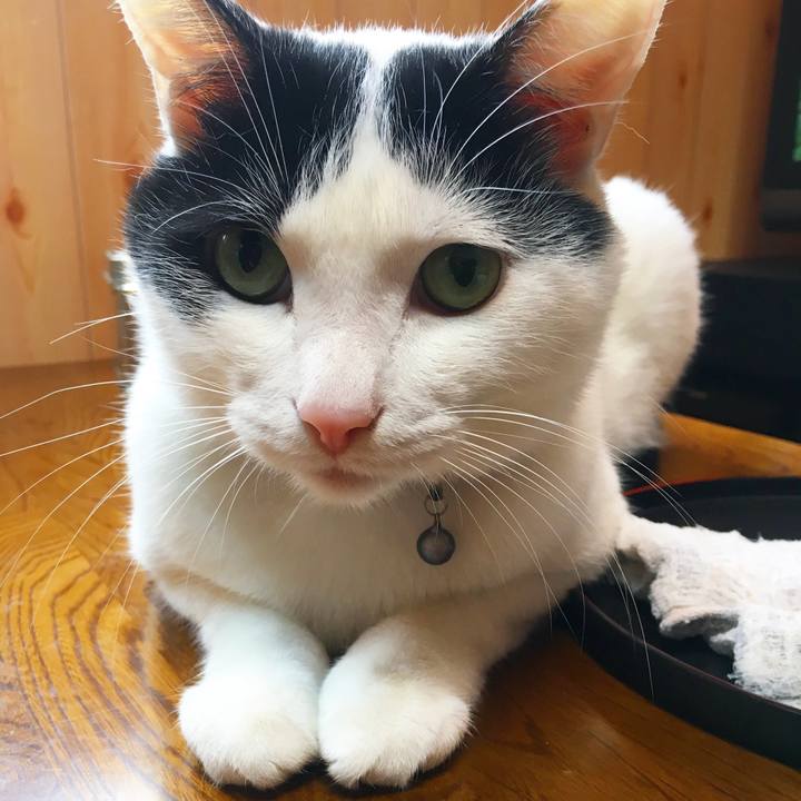 D7b53c16 2eef 4a90 8157 ef2b1acde419