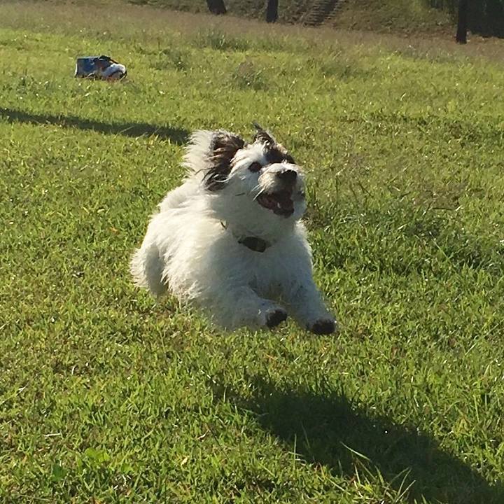 D7b564eb 691a 4d11 8831 eb23b8f6a8eb