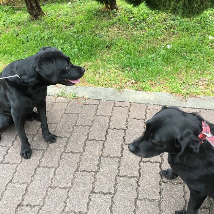 D7b59059 c127 4193 b28a 5cfd411bada5