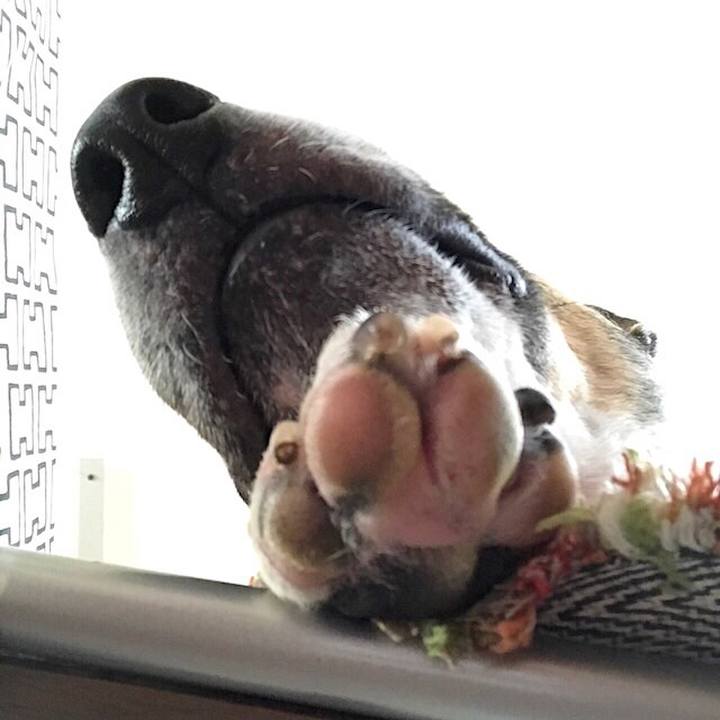 D7b5e31b b36f 4cef 9ae7 ae3b5ea15c22