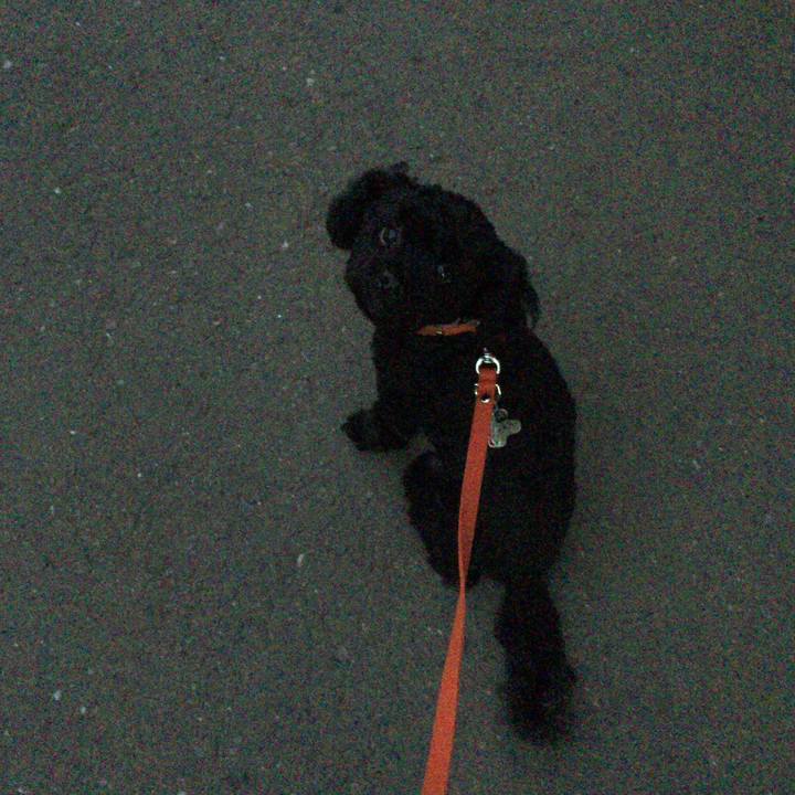 D7b64371 e0e4 414d 8efa 47d4a65d2b93