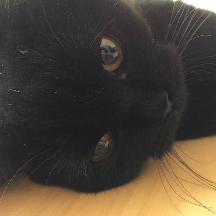 D7b68aca a44c 4db8 a642 dc82e349667a