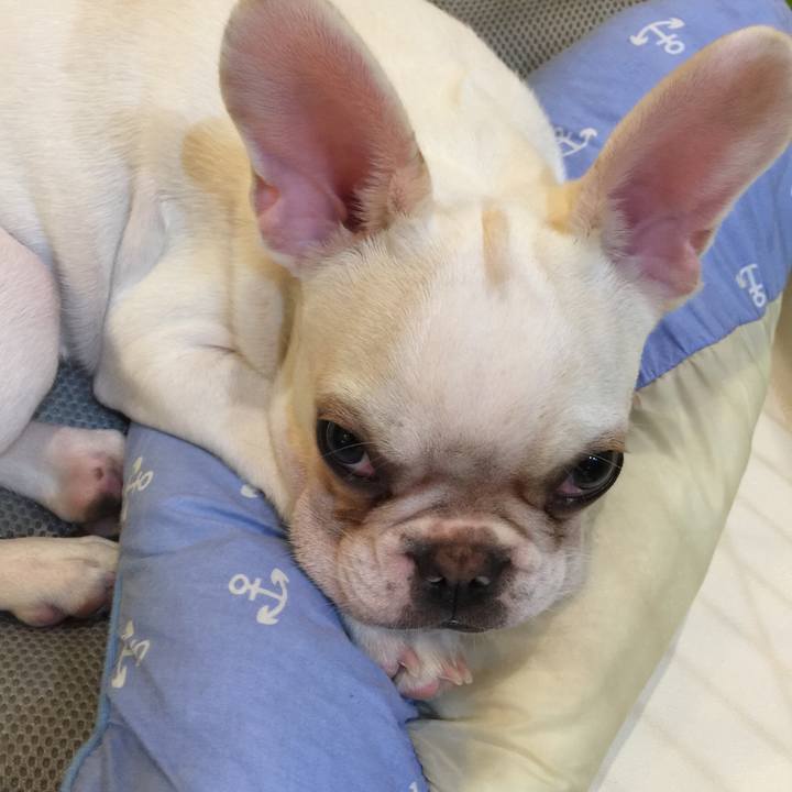 D7b6a184 583b 45cf a35a c1f6889c0eb5