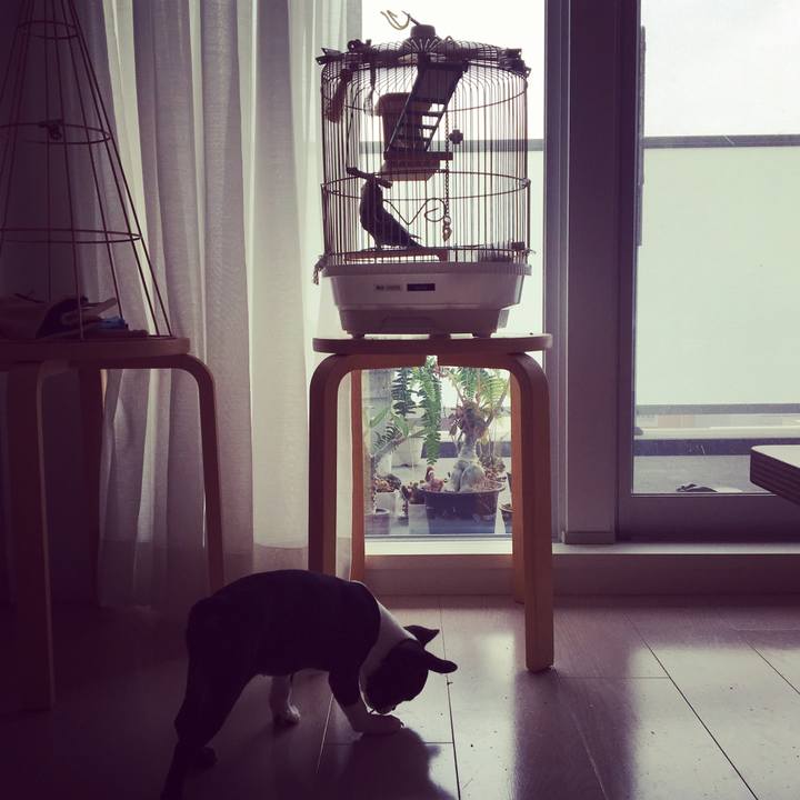 D7b8462c d7cf 42e6 89e8 53b76665e1d6