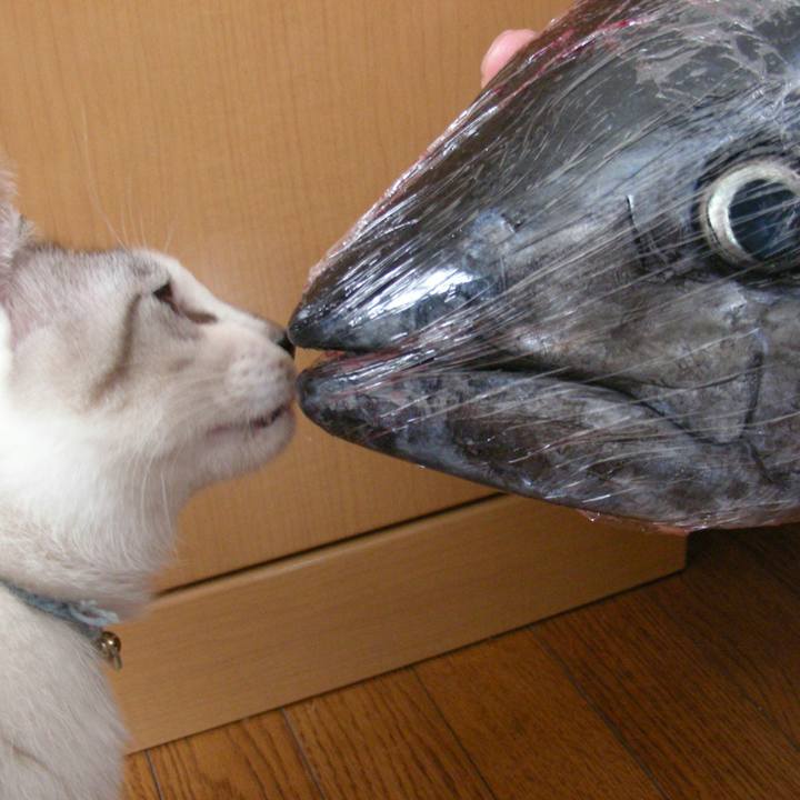 D7b85c21 0605 4fab 83bf 6225a0a0d5fc