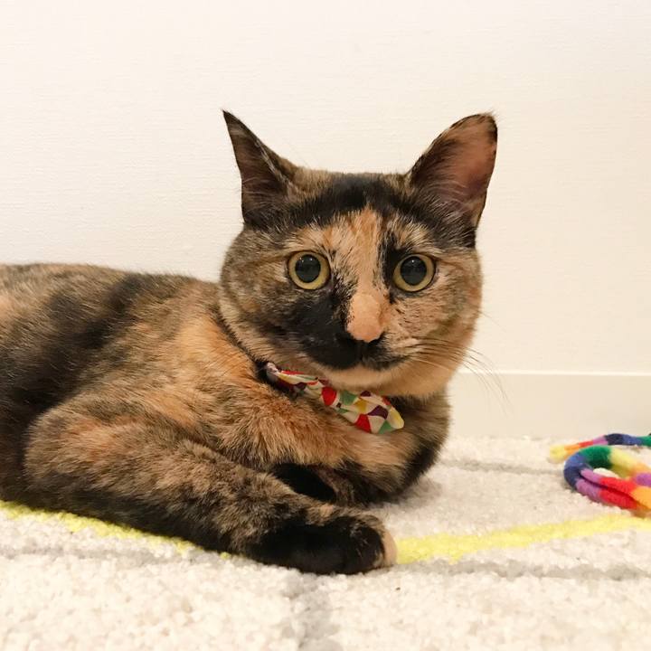 D7b87bbf 8b84 4606 99e4 95388a6fae3b