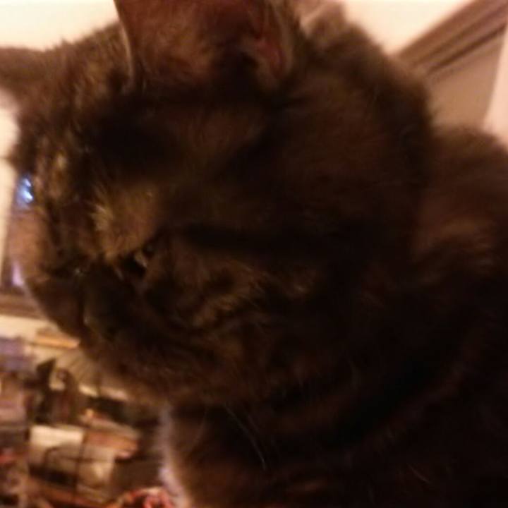 D7b8cc2e eb49 40d1 bea6 ffa6a0d65723