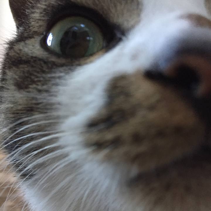 D7b8fba3 ced5 4c0f 9b7b 5bfb60216285