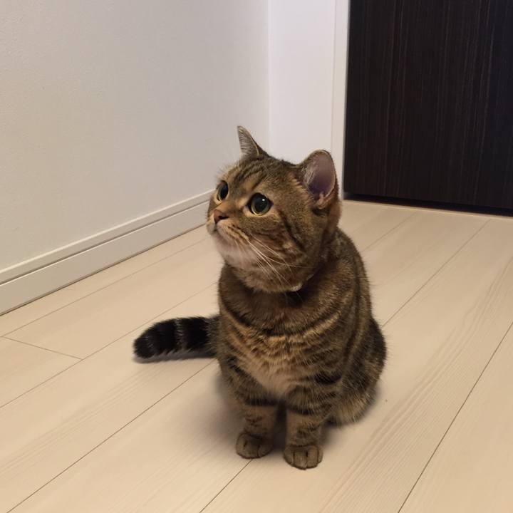 D7b97372 3bc5 4c2c 8a67 c26de24a34f1