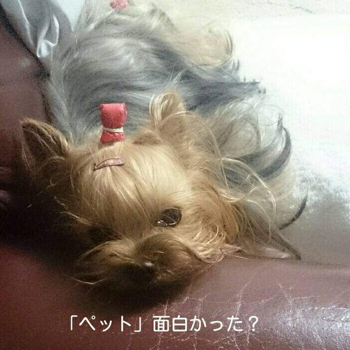 D7b99973 30df 4c6c 9f8e f9dc1548f7b3