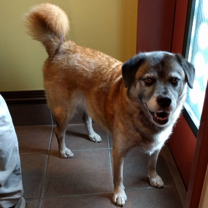 D7b9d5a9 f7eb 4027 9ab5 d0538dc2cde4