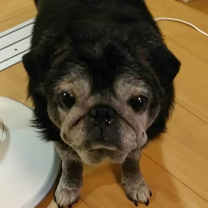 D7bbd175 9091 48c9 accb cf05efcc8436