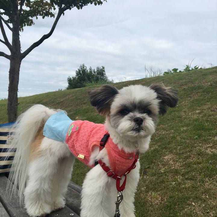 D7bc73b4 f7b4 491d b2ff 05d00c811de4