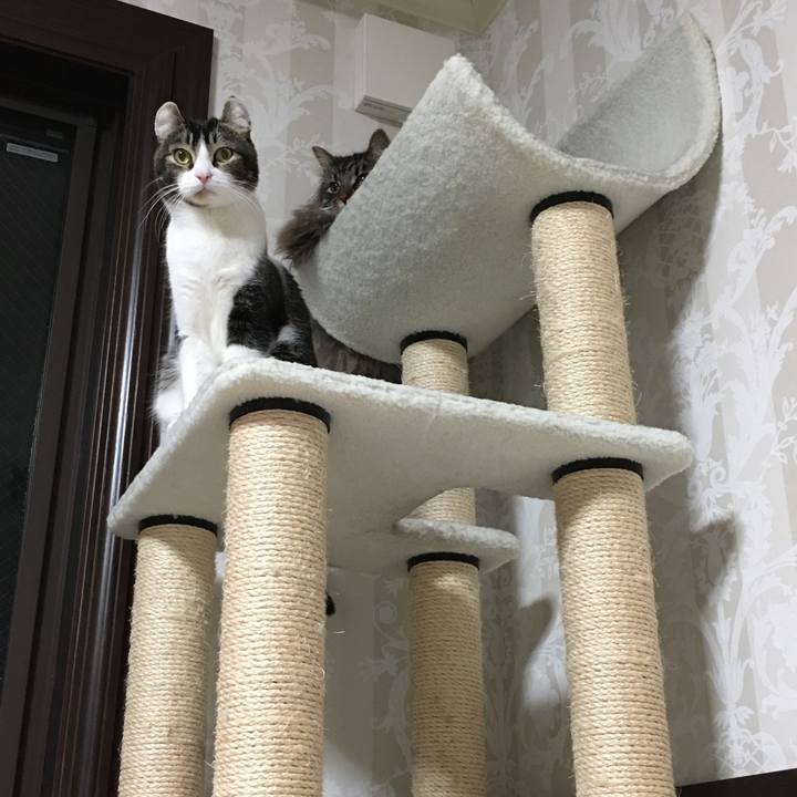 D7bcd278 cde7 4ff3 bb52 897bc6f1e94d