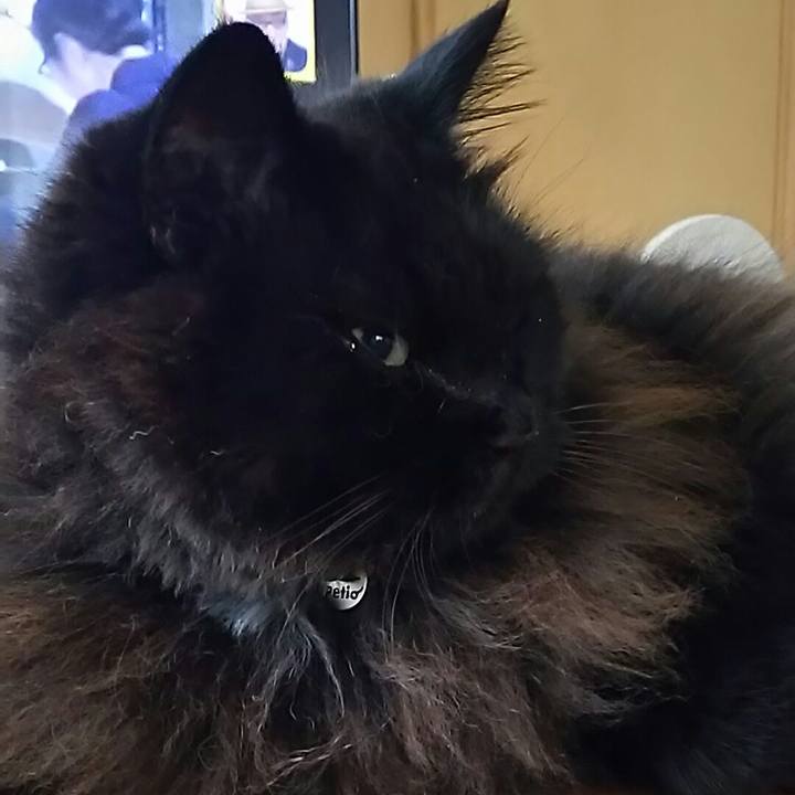 D7bd50b9 4bfd 41fd 9fef 68347c951c3a