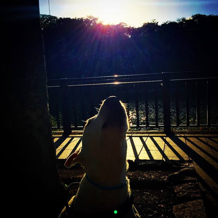 D7bd80cf eb1f 40b7 848c b0913a3582c0