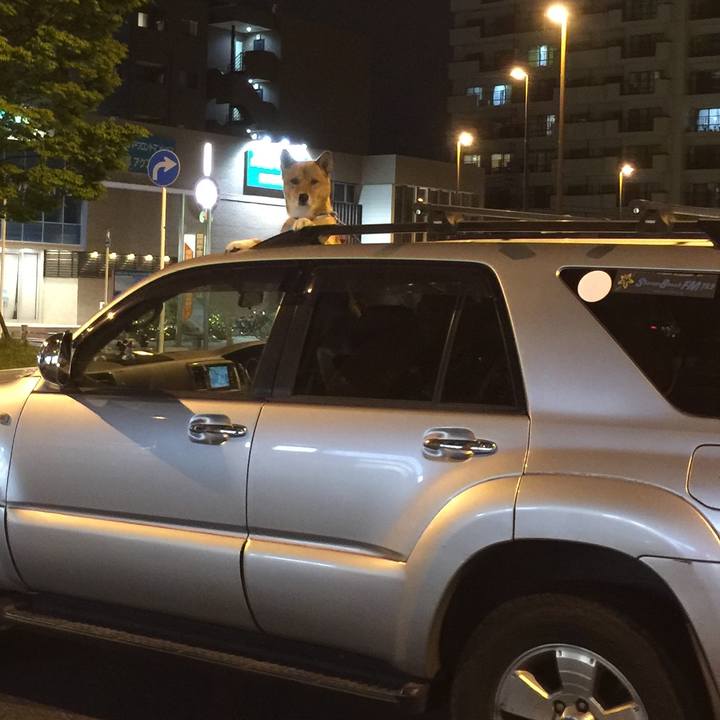 D7be1279 eee3 498f a0d4 fcc6217e9274