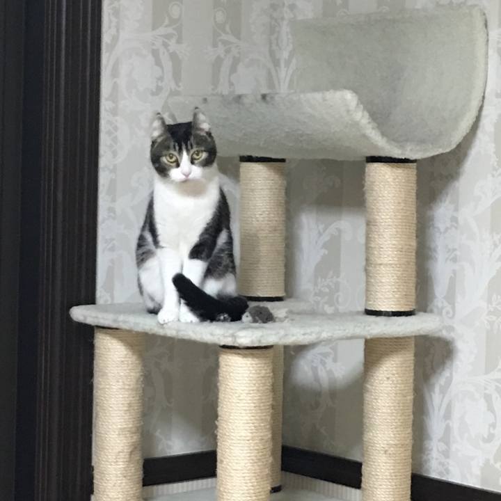 D7be3fce 3431 4595 aede 6929559d86c9