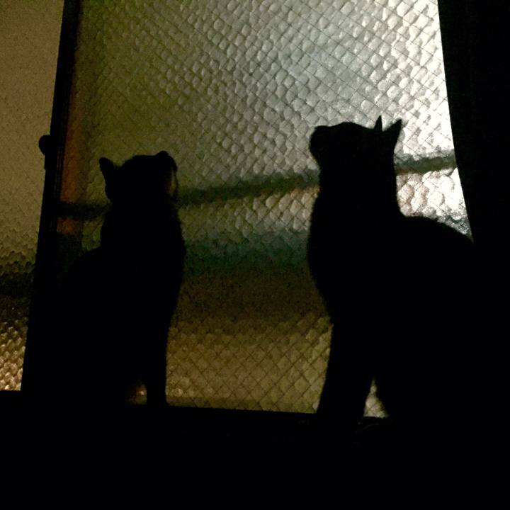 D7bf9b4e 8813 4637 a196 4ab942c9b298