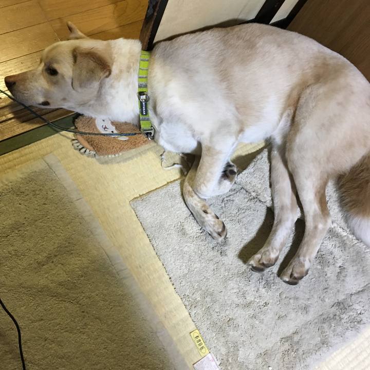 D7bfa679 0d5d 4ae1 9458 d0e888d27fb0