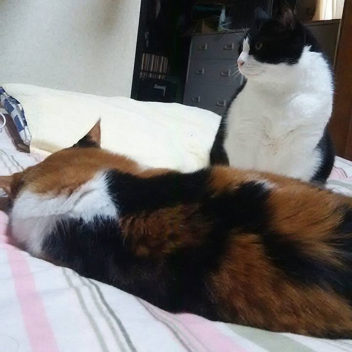 D7bfac80 0aa7 4779 936e 720fefba4d70