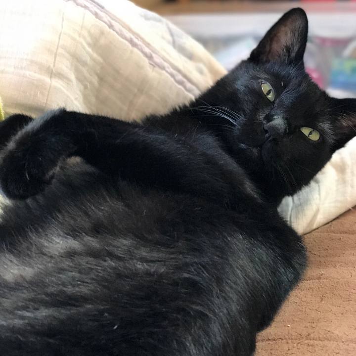 D7c0a5c5 3d8f 4193 aec0 168a31def96f