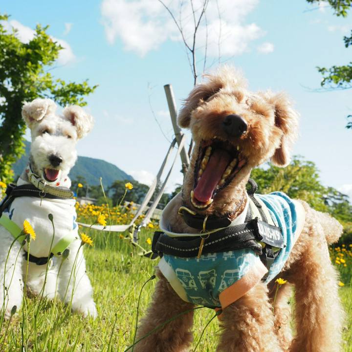 D7c1ee8f f759 4db0 9910 bb84a2c575c3