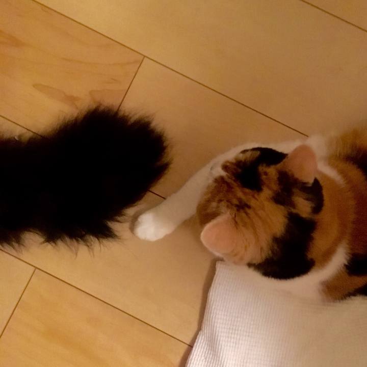 D7c1f023 b6c7 4f38 8925 4a42e078ceb0